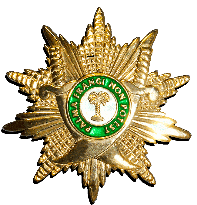 Order of the Palm Breast Star